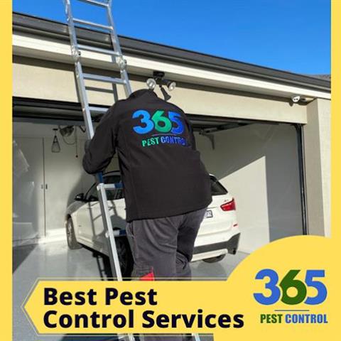 365 Pest Control Melbourne image 3