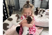 Furry chihuahua puppies for ad en Miami