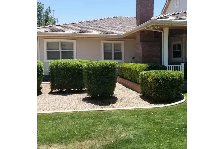 Remodelación de jardines image 1