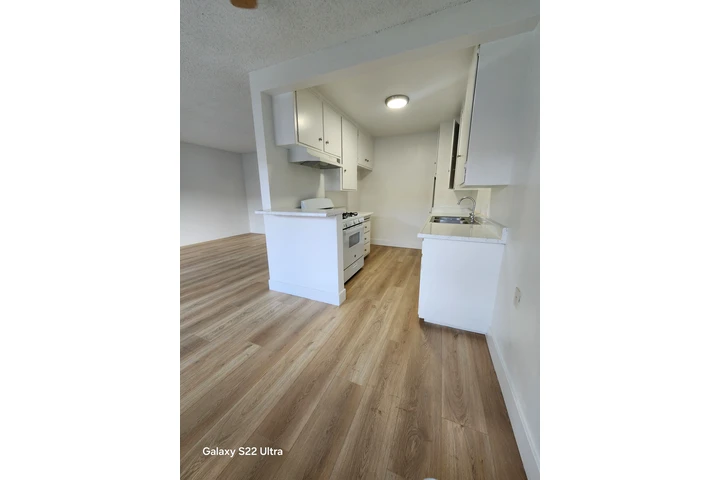 Piso LVP image 1