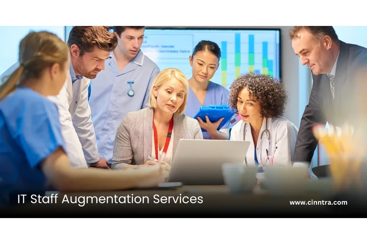 IT Staff Augmentation Services image 1