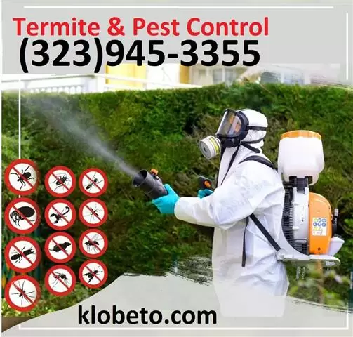 FUMIGACIONES 24/7 TERMITE-PEST image 10