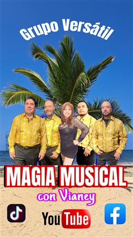 Grupo Magia Musical Versatil image 2