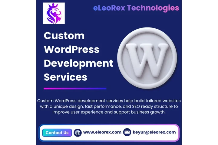 Custom WordPress Development image 1