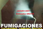 -CONTROL DE RATONES/CUCARACHAS thumbnail