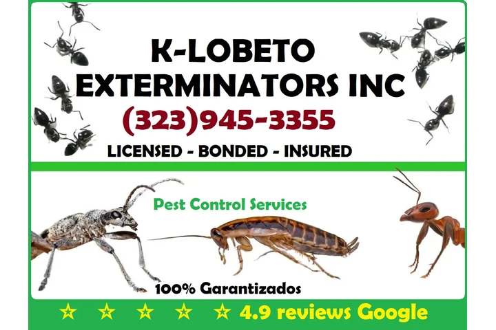 FUMIGATION ALL LOS ANGELES.- image 1