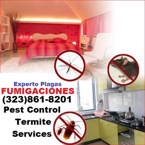 PEST CONTROL.(323)861-8201 image 3