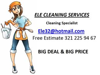 ele cleaning services image 1