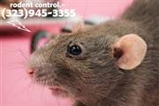 24/7 RODENT CONTROL-REPAIRS thumbnail