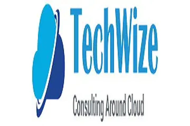 Microsoft dynamics consulting image 1