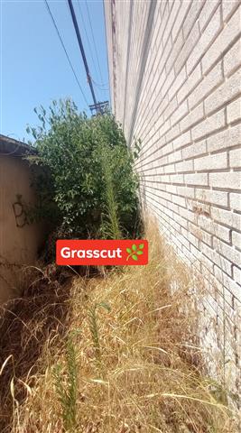 Grasscut 🌿👷🏻🏡 $35 image 5