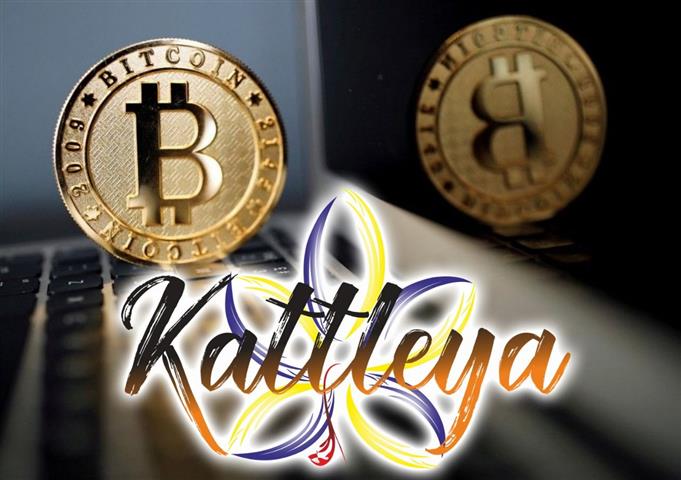 Kattleya image 2