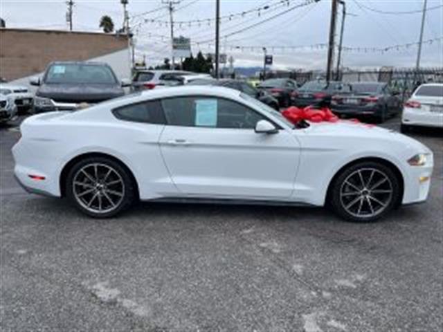 $17395 : 2018 FORD MUSTANG2018 FORD MU image 10