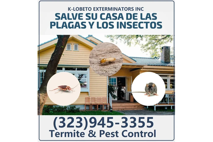 FUMIGACION EXCELENTE ECONOMICO image 10