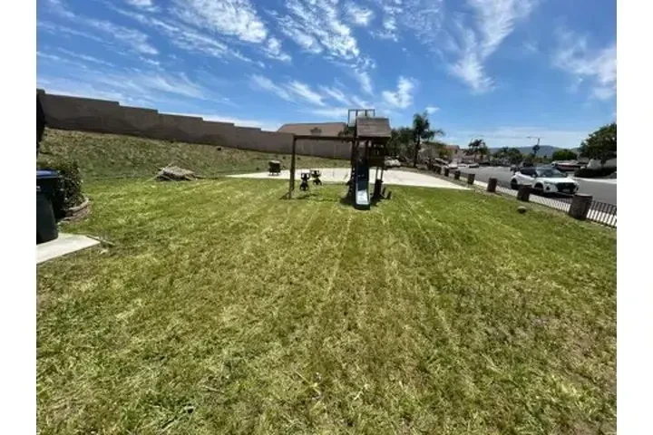 🌱✨ Palacios Landscaping ✨🌱 image 7