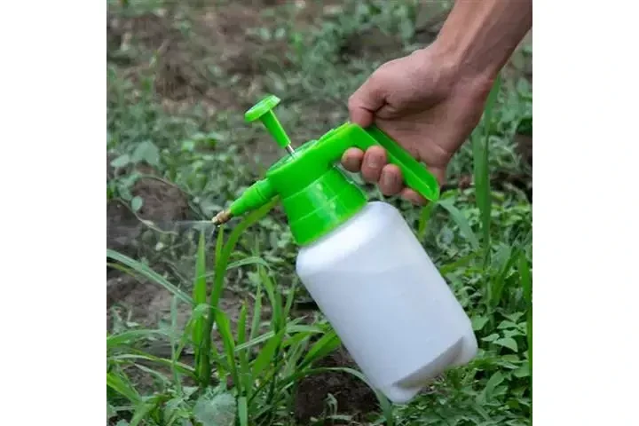 CANALEZ GARDENING SERVICES image 9