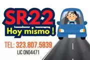 Hoy puedes ACTIVAR tu  SR 22 ✅ en Los Angeles