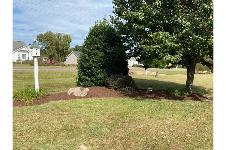 Professional Tree services image 6