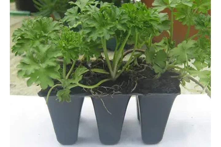 Huerta miniatura en kit image 1