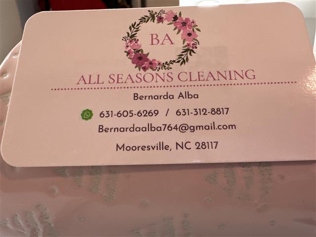BA ALL SEASONS CLEANING image 2