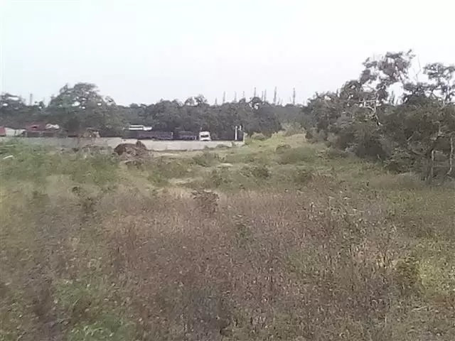 GITASA image 8