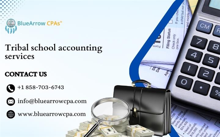 Tribal School Accounting image 1