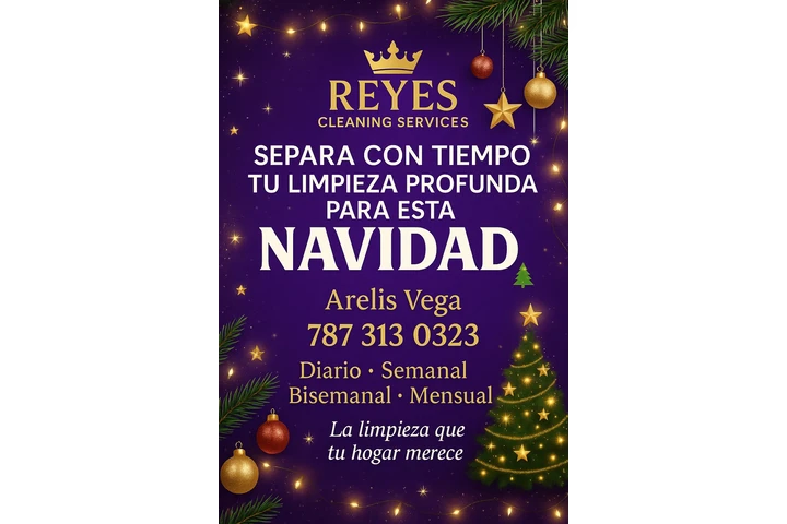 Reyes Cleaning Services 👑 image 3