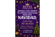 Reyes Cleaning Services 👑 thumbnail