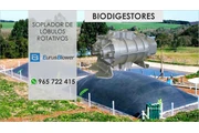 SOPLADOR BLOWER DE LOBULOS thumbnail