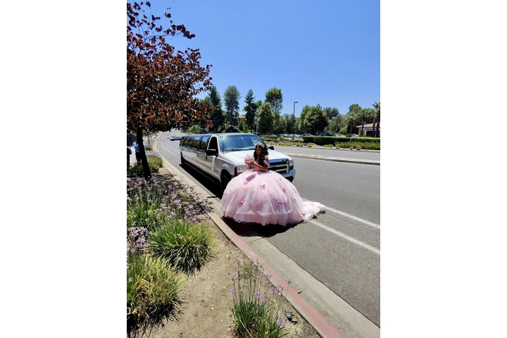 Limousine Business image 7