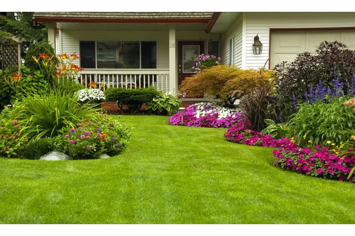 Cuidado de Jardines image 1