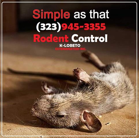 24/7 RODENT CONTROL-REPAIRS image 1