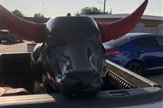 *toros mecánicos y más* en Orange County