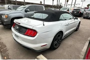 $18995 : Ford Mustang 2018 EcoBoost P thumbnail