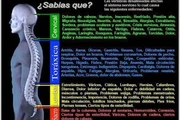 ajuste de la columna vertebral thumbnail