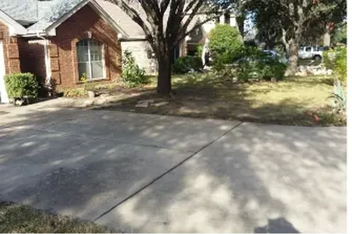 CLEAN LEAVES IN YOUR HOME image 4