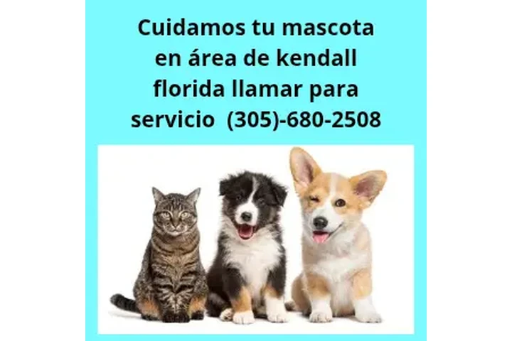 Pet Care Kendall Florida image 1
