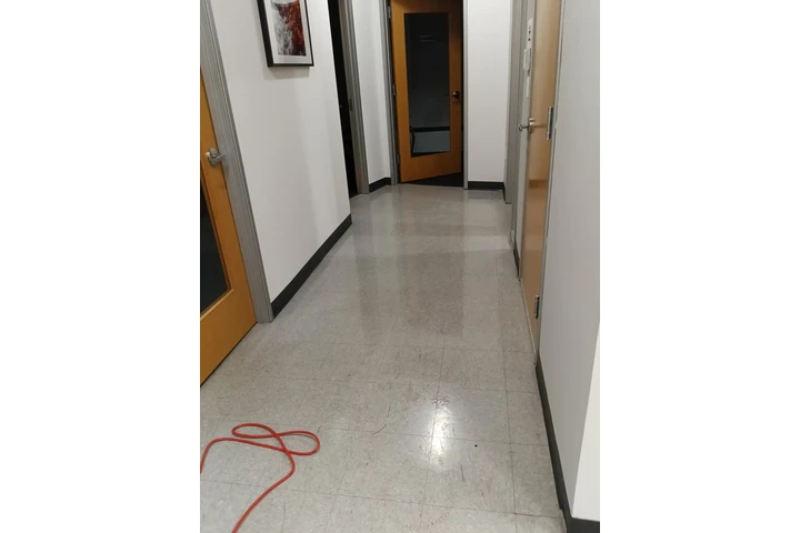 D-Force Cleaning Company Miami image 4