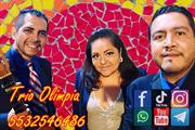 trios musicales CDMX en Mexico DF