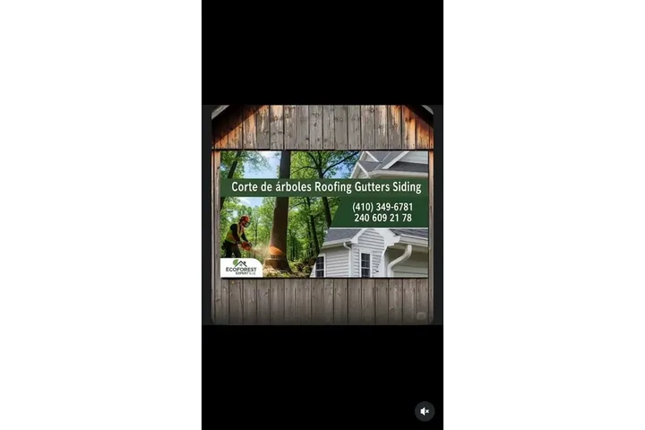 eco forest expert llc image 1