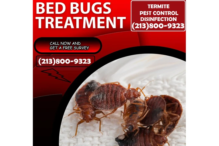 CONTROL TERMITAS (213)800-9323 image 8