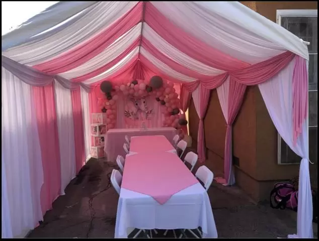 REMATA PARTY'S RENTALS image 3