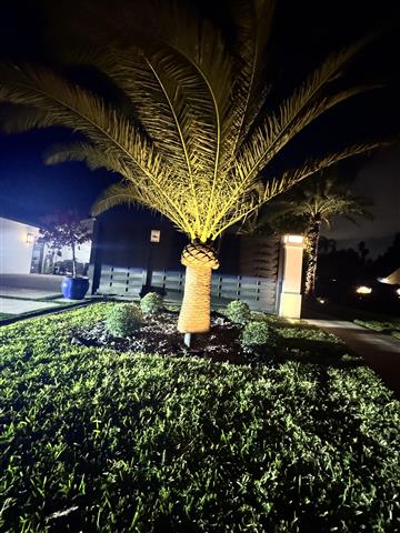 Tree services y landscaping image 1