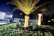 Tree services y landscaping en Miami