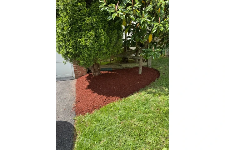 🌿HIDALGO LANDSCAPING🌿 image 8