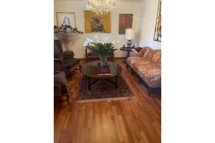 Servicio De Limpieza De Xenia image 5