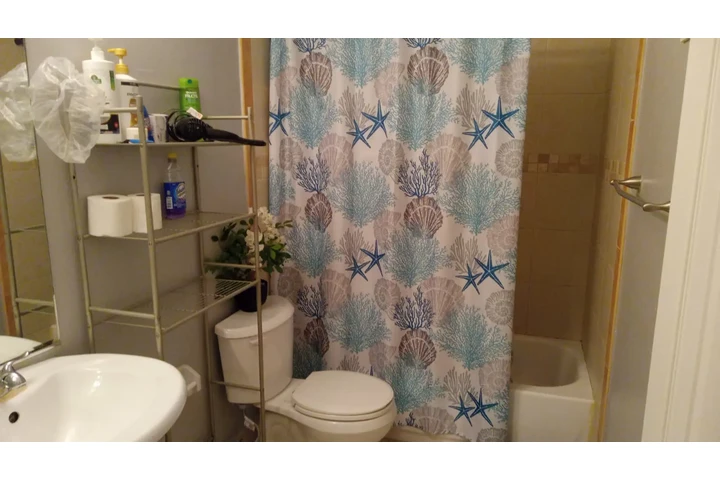 $775 : RENTA DE HABITACIÓN image 4