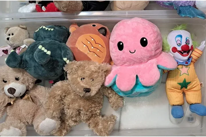$300 : PAQUETE DE 19 PELUCHES DIFEREN image 8