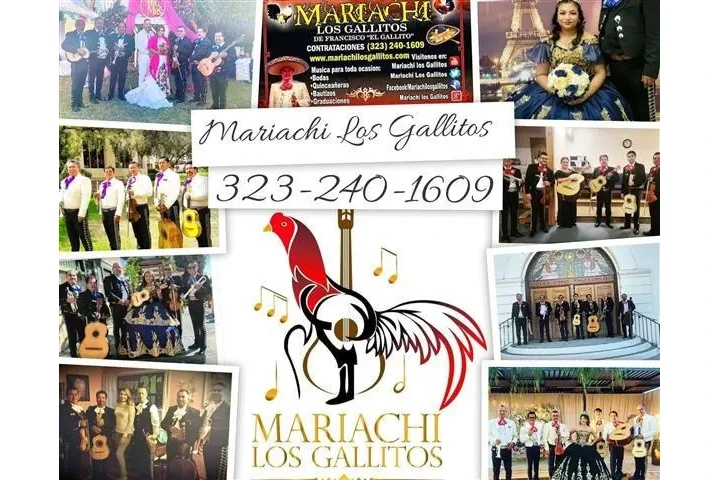 Mariachi Los Gallitos For Hire image 3