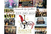 Mariachi Los Gallitos For Hire thumbnail